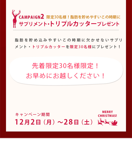 クリスマスキャンペーン